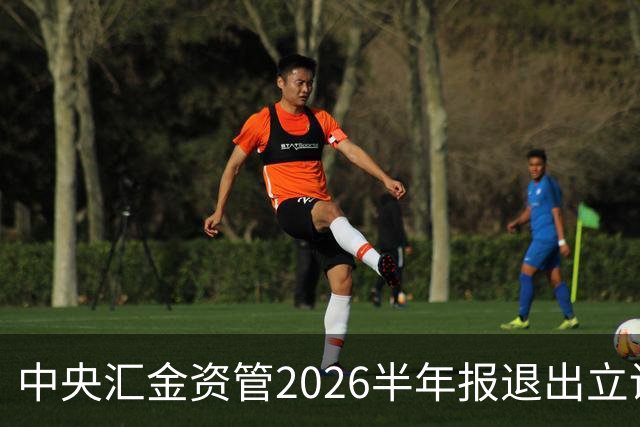 中央汇金资管2026半年报退出立讯精密前十大股东名单