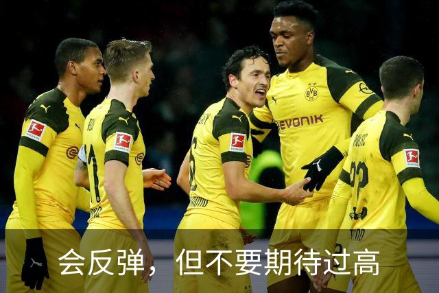 会反弹，但不要期待过高