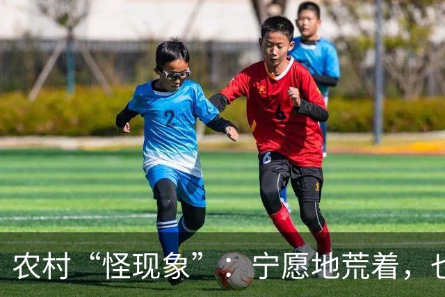 农村“怪现象”：宁愿地荒着，也不种粮食，把专家气够呛，咋回事