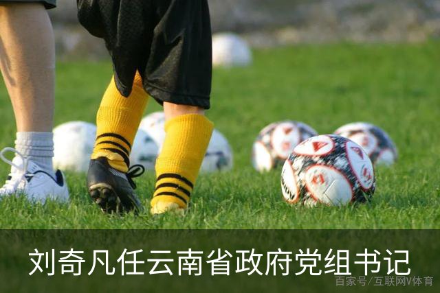 刘奇凡任云南省政府党组书记