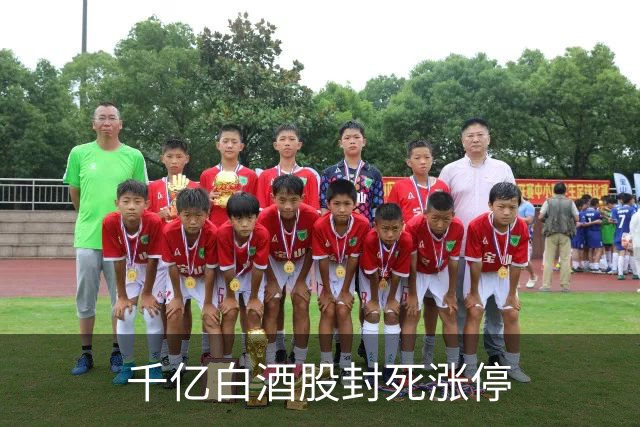 千亿白酒股封死涨停