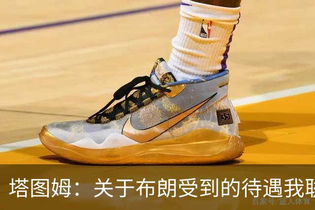 塔图姆：关于布朗受到的待遇我联系过他 我们是打球不是打拳击