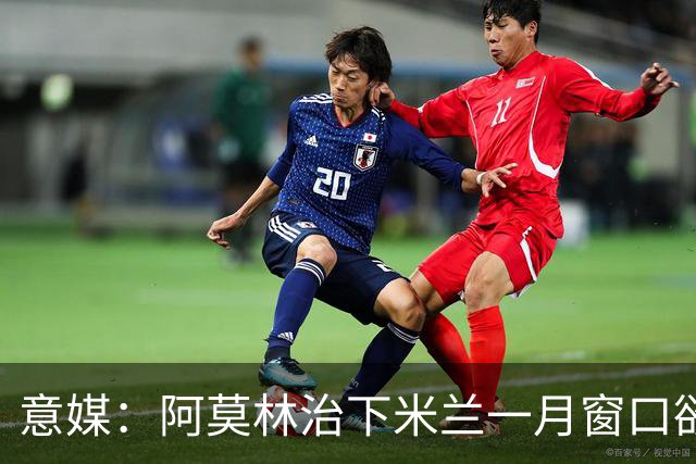 意媒：阿莫林治下米兰一月窗口欲重逢费尔南德斯