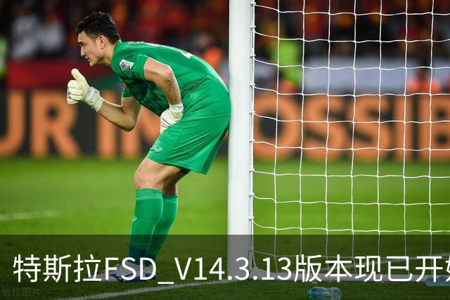 特斯拉FSD V14.3.13版本现已开始推送 用户可OTA升级