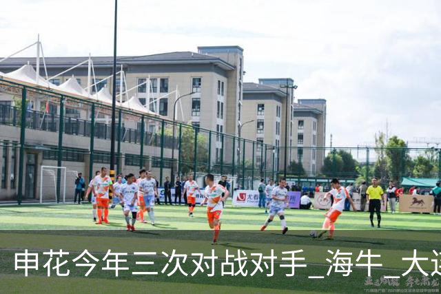 申花今年三次对战对手 海牛 大连 町田 输得最痛心 还得是足协杯8强赛