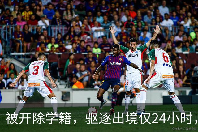 被开除学籍，驱逐出境仅24小时，陈某再迎三大"噩耗" 个个直戳心窝