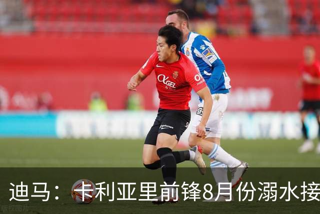 迪马：卡利亚里前锋8月份溺水接受抢救 本轮意甲替补出场制造威胁