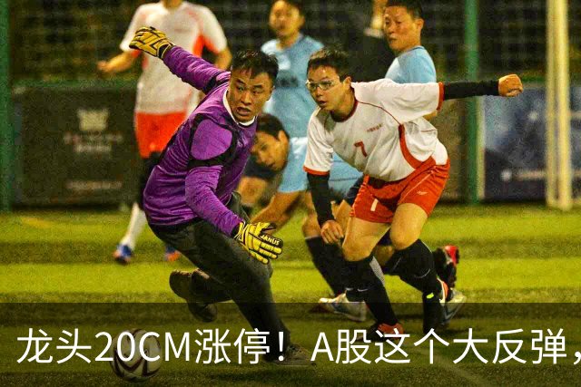 龙头20CM涨停！A股这个大反弹，太提气了！