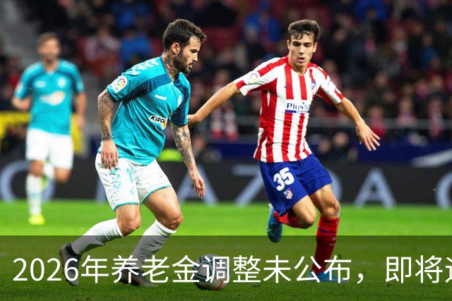 2026年养老金调整未公布，即将迎来人社部第三季度会议，会提及吗
