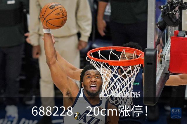 688228，20cm涨停！