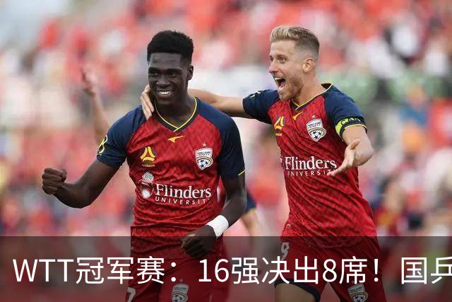 WTT冠军赛：16强决出8席！国乒大获全胜，林昀儒鏖战5局逆转